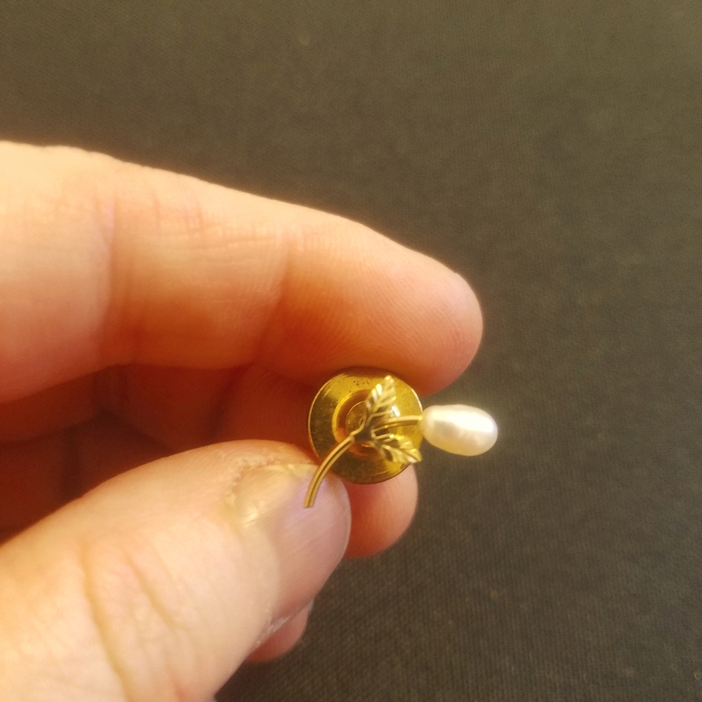 Freshwater pearl pin